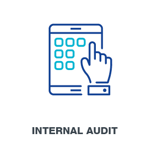 Internal Audit