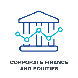Corporate Finance and Equities