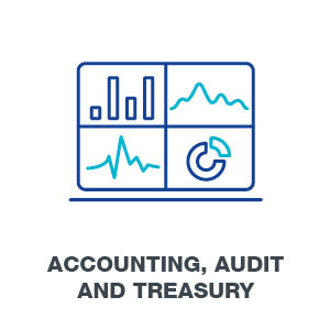 Accounting, Audit and Treasury