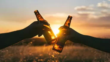 Two hands clinking beer bottles at sunset in a field.